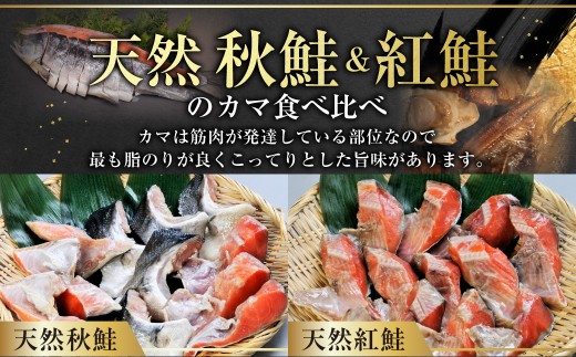 【釧路加工】マルア阿部商店 天然鮭 氷塩熟成「カマ」食べ比べセット 秋鮭 鮭 サケ 紅鮭 さけ 個包装 シャケ 切り身 切身 半身 2種 魚 海鮮 セット 三平汁 焼き魚 北海道 釧路市