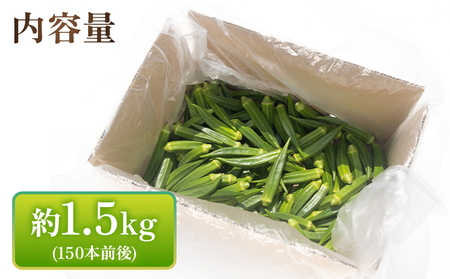オクラ1.5kg(150本前後) 【オクラ オクラ オクラ オクラ オクラ おくら おくら】 on-0029