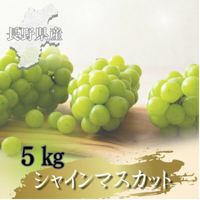 【ふるさと納税】【2026年先行予約開始!】長野県中野市産シャインマスカット 5kg(8～12房)【配送不可地域：離島】【1682422】