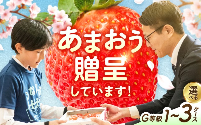 
                  【★先行予約★　2027年2月より発送】【選べる回数×ケース数】あまおうG等級 1回or2回 / 1ケース-3ケース いちご イチゴ 苺 フルーツ 果物 くだもの 旬 福岡県産 小分け あまおう 博多 大きい 甘い strawberry ichigo itigo fruit いちご あまおう 苺 果物 広川町 / JAふくおか八女農産物直売所どろや [AFAB097]
                