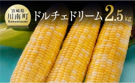 【令和7年発送】朝どれ！守部さんちのドルチェドリーム2.5kg【 とうもろこし スイートコーン トウモロコシ スィートコーン 令和7年発送 先行予約 数量限定 期間限定 野菜 】