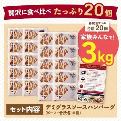Z61-31 どっちのハンバーグ!?デミグラスソース20個セット（ビーフ・合挽 各10個） ハンバーグ