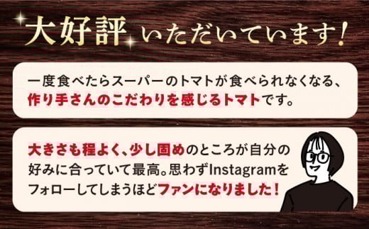 トマト 高糖度 【2025年収穫分先行予約】【3kg×3回 定期便 】糖度8度以上の果実！ 大島 トマト 計9kg  西海市産 トマト とまと 訳あり トマト 大島トマト 甘いトマト ＜大島造船所 農