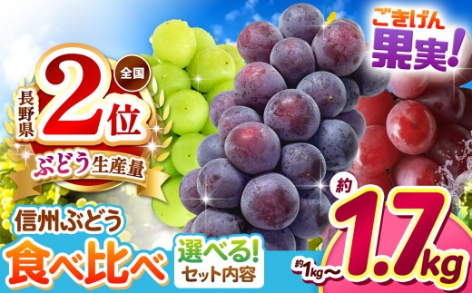 
                  【先行受付：9月中旬～発送】ブドウ王国 長野県産 ぶどうセット 選べる組合せ ｜ぶどう 葡萄  ナガノパープル シャインマスカット クイーンルージュ® 果物 お好み フルーツ 種無し 新鮮 信州産 ご機嫌 果実 | 1kg 数量限定 期間限定 |  2房 ～ 3房 ふるさと納税 松本市 | 寄附額 12000円～
                