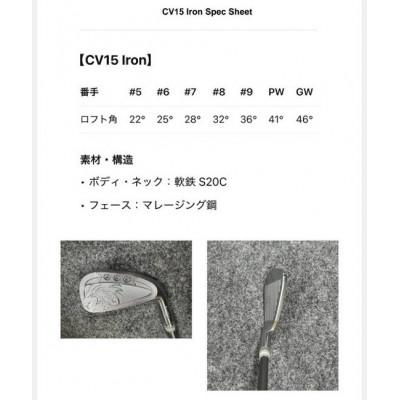 ふるさと納税 伊予市 【オーダーメイド】アイアンセット エミリッドバハマ CV15 フジクラトヴィルシャフト|F44 |  | 02