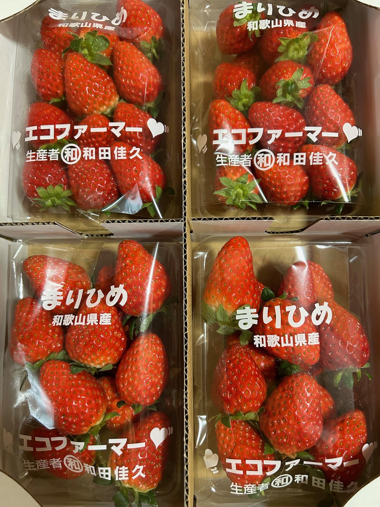 紀州和歌山ブランドいちご「まりひめ」約250g×4P 【2026年3月上旬頃～2026年3月下旬頃に順次発送】【UT39】