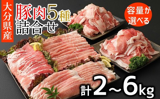 
                  小分けされてるから便利♪大分県産 豚詰め合わせ５種（２～６ｋｇ）10,000円～30,000円  豚肉 小分け 国産 セット 冷凍
                
