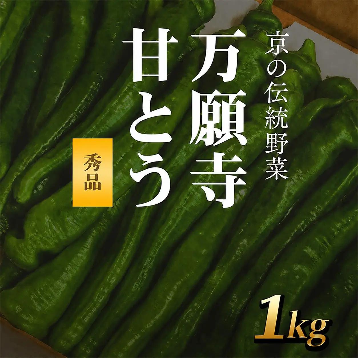 ＜2026年7月より順次発送予定＞ 万願寺甘とう 秀品 計1kg 京都丹の国農業協同組合