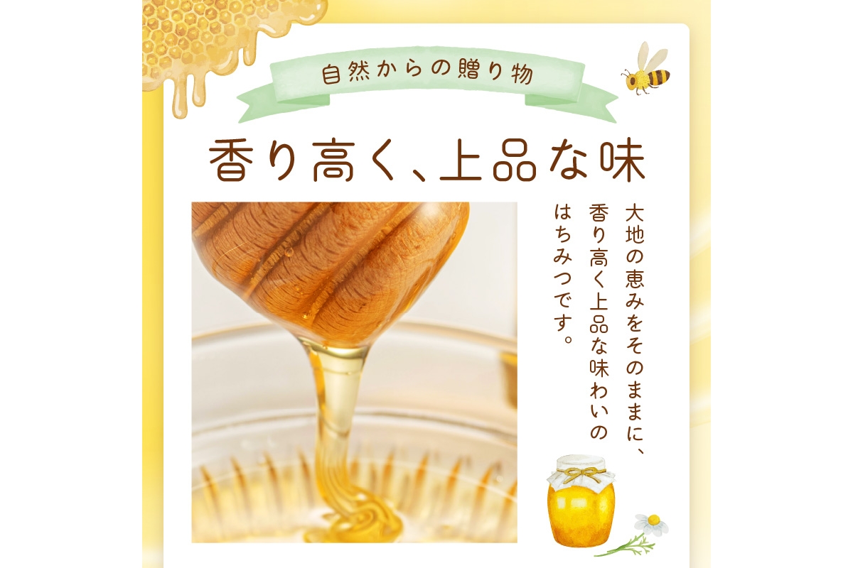 京都 生はちみつ「京丹後 山頂のはちみつ」 300g(100g×3) 【国産　非加熱】　ハチミツ　蜂蜜 ハニー　SW00003