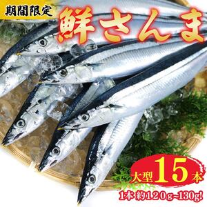 【期間限定】鮮さんま 大型 15本 (1本約120g～130g) 冷蔵 サンマ 秋刀魚 旬 産地直送 新鮮さんま 魚 焼き魚 三陸さんま 岩手 さんま 大船渡市