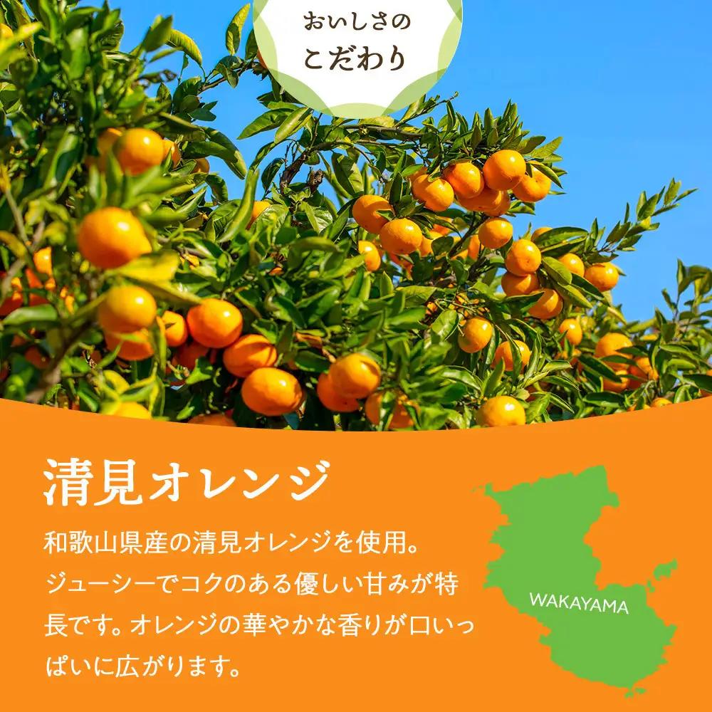 和歌山県産 輪切り果実 ドライフルーツ 清見オレンジ 65g×3袋