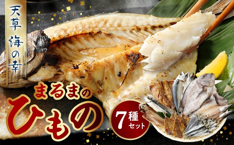 
S113-001_まるまのひもの　熊本県天草のおいしい干物
