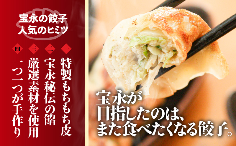 【ぎょうざの宝永】宝永餃子（500g×2袋）＆チーズ餃子（375g×3袋）セット　合計2,125g　T004-002