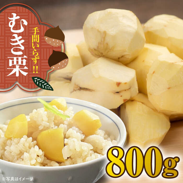 【ふるさと納税】【先行予約】【9月下旬より順次発送】ムキ栗 800g（真空パック） | 人気 おすすめ ランキング おいしい 甘い クリ くり くだもの 大洲市/沢井青果[AGBN032] 10000 10000円 以上