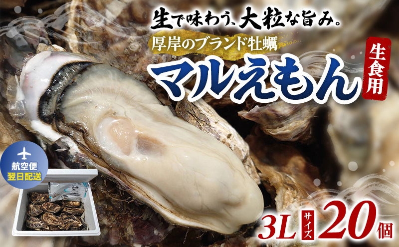 翌日配送 航空便 牡蠣 厚岸のブランド牡蠣 マルえもん 3Lサイズ 20個 生食用 魚貝類 海鮮 海のミルク 国産 生食用殻付き牡蠣 まろやか クリーミー 食べやすい品種 海の香り 牡蠣の酒蒸し 焼き牡蠣 マルえもん