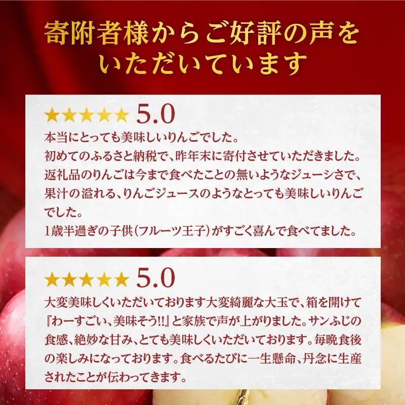 りんご サンふじ 西樹園 青森県産 りんご【約5kg 12〜16玉】