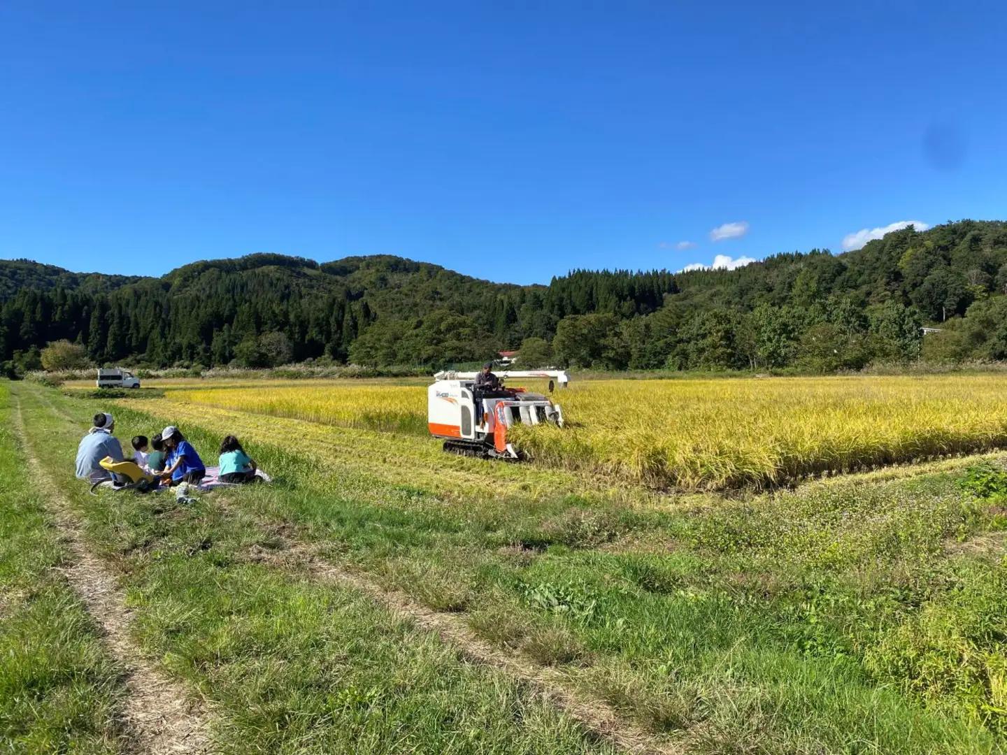 【令和８年産米 先行予約】山形県小国町産　雪若丸10kg　きせつ家