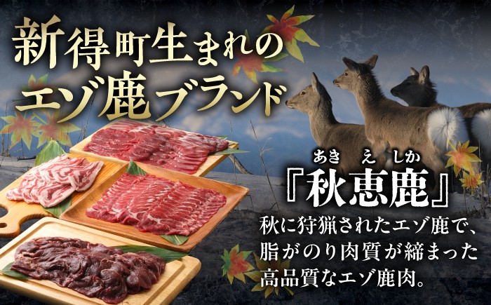 鹿肉 ジビエ肉 エゾ鹿肉 ジビエ 赤身肉 ヘルシー セット 食べ比べ 北海道