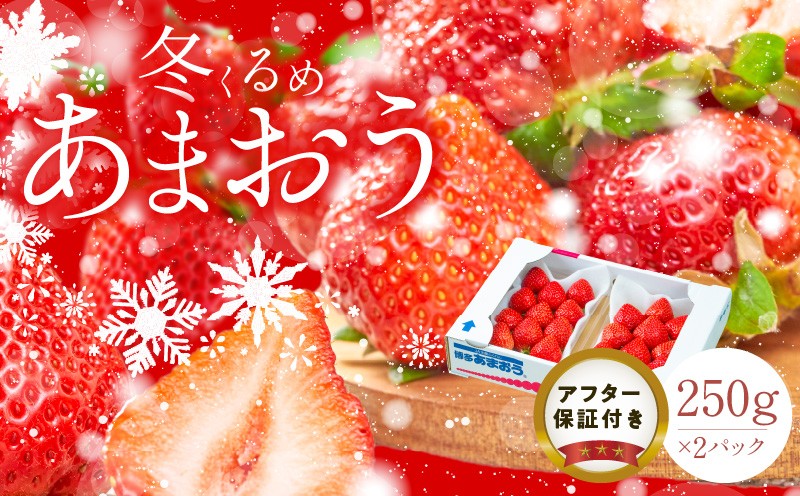 
                  【2026年12月以降お届け】福岡産［冬］あまおう2パック_冬くるめ あまおう 250g × 2パック 合計 500g 冷蔵 濃厚 甘い 大粒 果汁 アフター保証 安心安全 国産 いちご 果物 アレンジ おやつ フルーツ スイーツ スムージー ジャム 南国フルーツ お取り寄せ 福岡県 久留米市 送料無料 福岡限定_Fi010
                