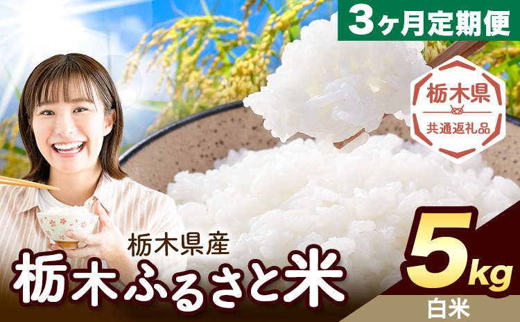 【3ヶ月定期便】栃木 ふるさと米 白米 5kg《お申込み翌月から出荷》栃木県 野木町 米 白米 精米 国産 お米 おこめ お弁当 おにぎり【栃木県共通返礼品】