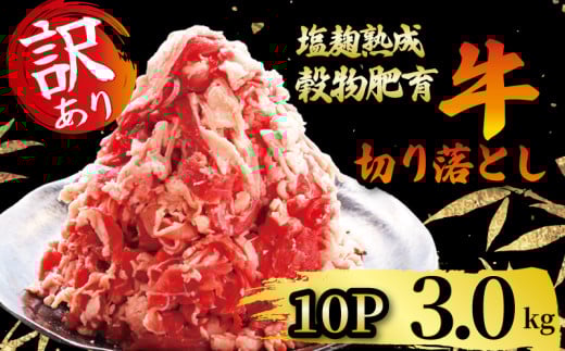 牛肉 切り落とし こま切れ 300g × 10パック 3.0kg 訳あり 訳アリ 小分け 個包装 簡単 調理  塩麹 塩こうじ 昆布 エキス 等 調味 熟成 穀物 肥育 牛 肉 冷凍 スライス 切落し こま切れ 小間切れ 細切れ 不揃い 京都 神戸 ミート フーズ  人気 おすすめ 14000円 