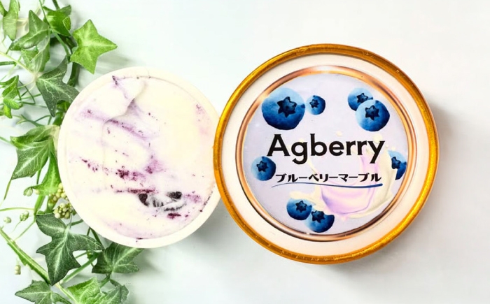 アイス あいす 氷菓子 フルーツ ブルーベリー ぶるーべりー マーブル デザート ブルーベリー おやつ