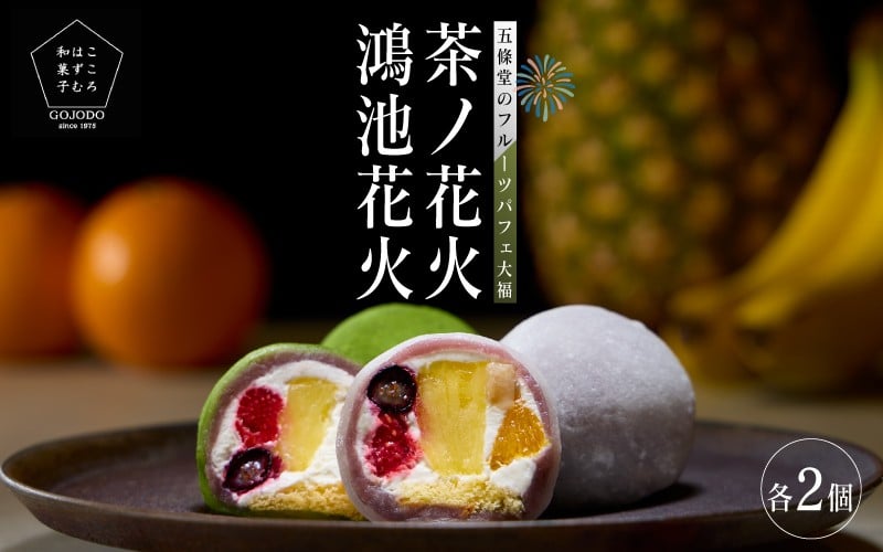 
            ＜五條堂50周年記念セット商品＞鴻池花火2個＋鴻池茶ノ花火2個
          