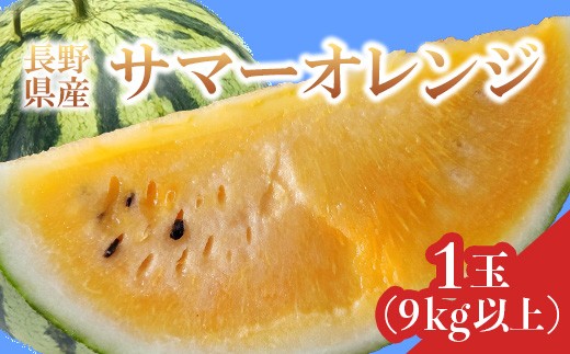 
                  3201 長野県山形村産 すいか「サマーオレンジ」 1玉（9kg以上）
                