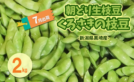 7月出荷 朝どり生枝豆 くろさきの枝豆2kg 新潟県黒埼産 新潟市 枝豆 えだまめ えだ豆