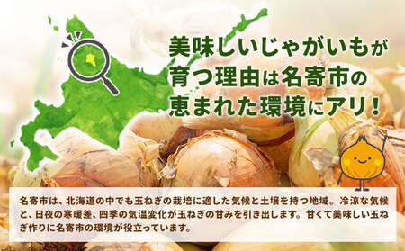 北海道名寄市産 じゃがいもと玉ねぎセット 10kg じゃがいも 5kg 秀品 玉ねぎ 5kg
