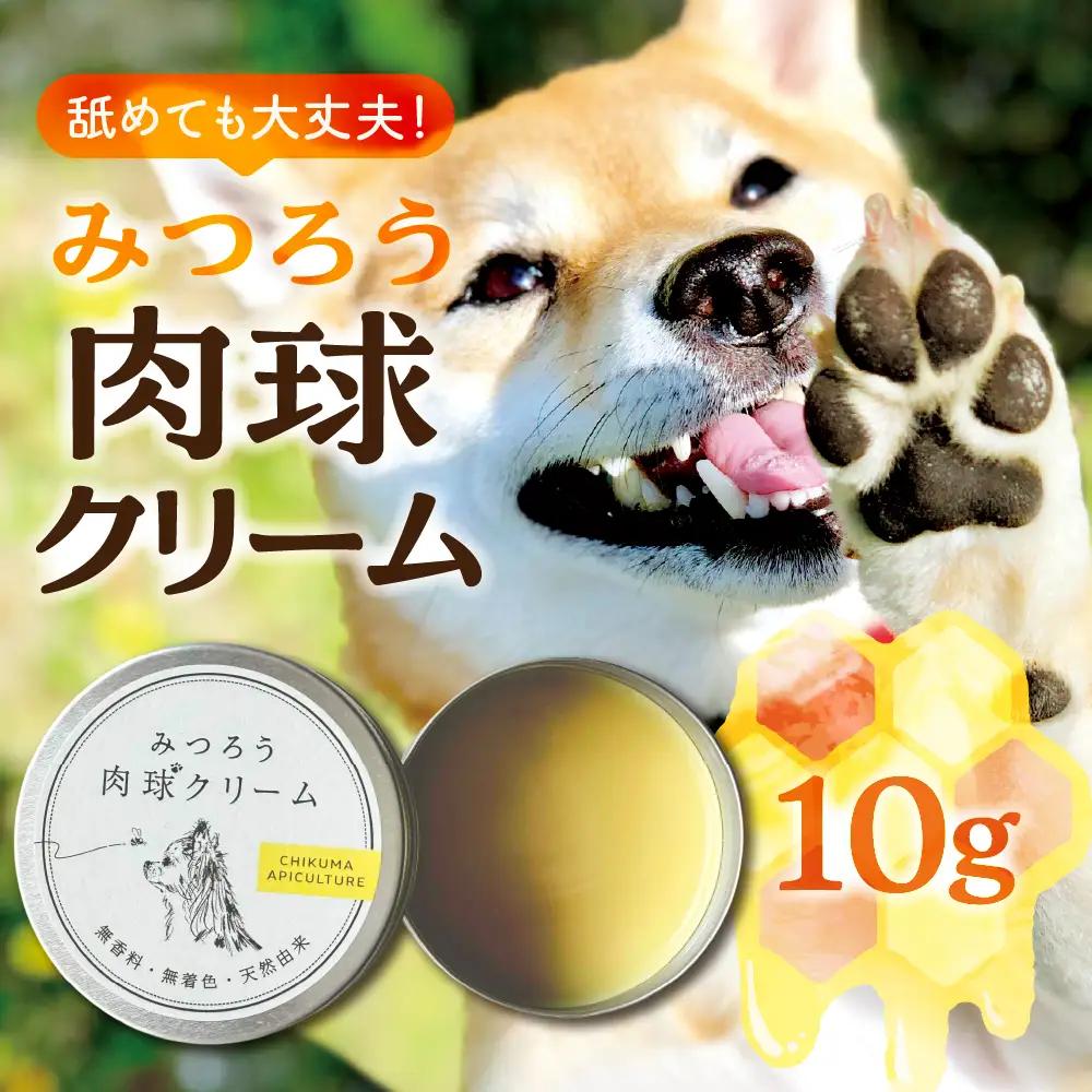 【11月～4月お届け】 国産はちみつ 肉球クリーム お試しサイズ 10g  肉球 クリーム ペット 犬 愛犬 グッズ 国産 トチ 百花 はちみつ ハチミツ 蜂蜜 チクマ養蜂 岐阜県産