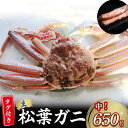 【ふるさと納税】 【魚倉】 タグ 付き 生 松葉ガニ （中650g） ズワイガニ 松葉蟹 カニ かに かにしゃぶ 【11月から3月発送予定】