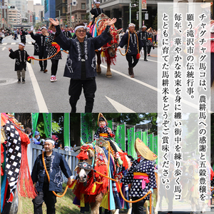 【 2025年 12月中旬より発送】 岩手県産 新米 馬耕米 あきたこまち 玄米 10kg ／【株式会社スタディア】 お米 米 こめ コメ ご飯 ライス おにぎり 弁当 単一原料米 10キロ １０kg