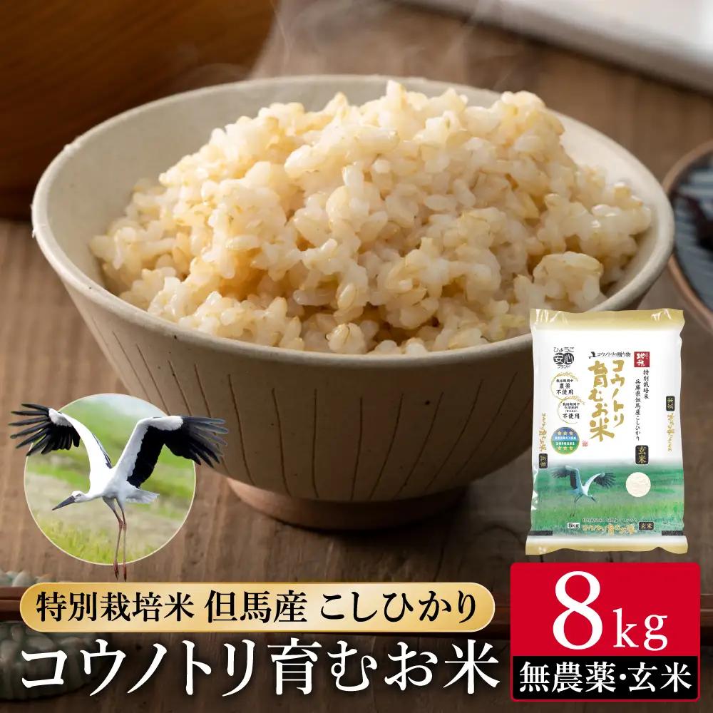 令和7年産 無農薬 特別栽培米 コウノトリ育むお米 玄米 8kg（2kg×4袋）