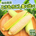 【ふるさと納税】定期便 全2回 北海道産 朝採りとうもろこし 2種 食べ比べ 8月・9月 計2回お届け 恵味 めぐみ ゴールド ピュアホワイト トウモロコシ 旬 夏 野菜 新鮮 産地直送 塩田農園 送料無料 北海道 洞爺湖町　定期便・洞爺湖町　お届け：2024年8月・9月　計2回お届け