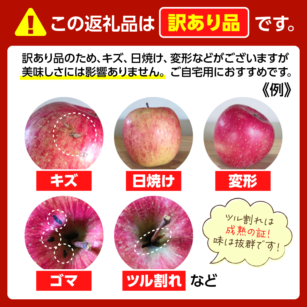 【2026年11月中旬発送】りんご　青森 サンふじ 3kg 程度 《 訳あり 》 農家直送 サンフジ 青森県五所川原市 傷 キズ ワケアリ 林檎 リンゴ apple
