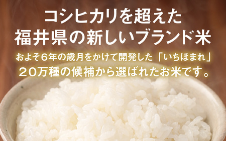 【令和7年産】福井が生んだブランド米「福井県産いちほまれ」【5kg 3袋 無洗米】 [E-014010] / 米 こめ お米 コメ ごはん ご飯 飯 送料無料 5kg 5キロ 15キロ 福井市 福井県