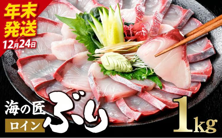 ＼2026年12月24日発送！先行予約／海の匠 ブリ スキンレスロイン (1kg) ぶり 鰤 刺身 国産 魚 海産物 海鮮丼 ぶりしゃぶ 冷蔵 【JP003-1224】【三共物商】