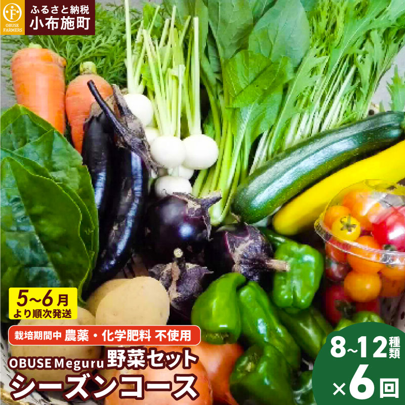 【ふるさと納税】［年6回定期便］ 農薬・化学肥料を使わずに栽培した野菜詰合せ定期便 OBUSE Meguru 野菜セット シーズンコース［おぶせファーマーズ］おまかせ 野菜 やさい 詰め合わせ 8～12種類 長野県産 信州 産地直送 令和7年産 【2025年5〜6月より順次発送】