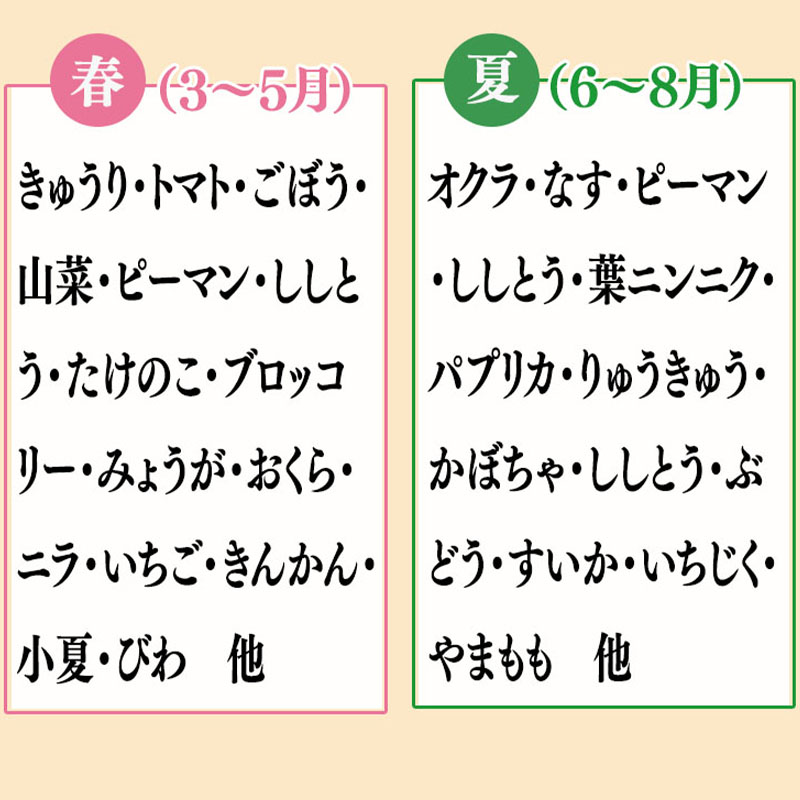 定期便 旬の野菜と果物セット 年6回