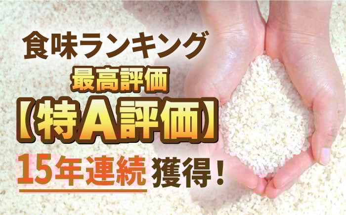 【発送月が選べる】＜15年連続特A評価＞令和6年産 さがびより 無洗米 10kg 特別栽培米 /江口農園 [UBF032]