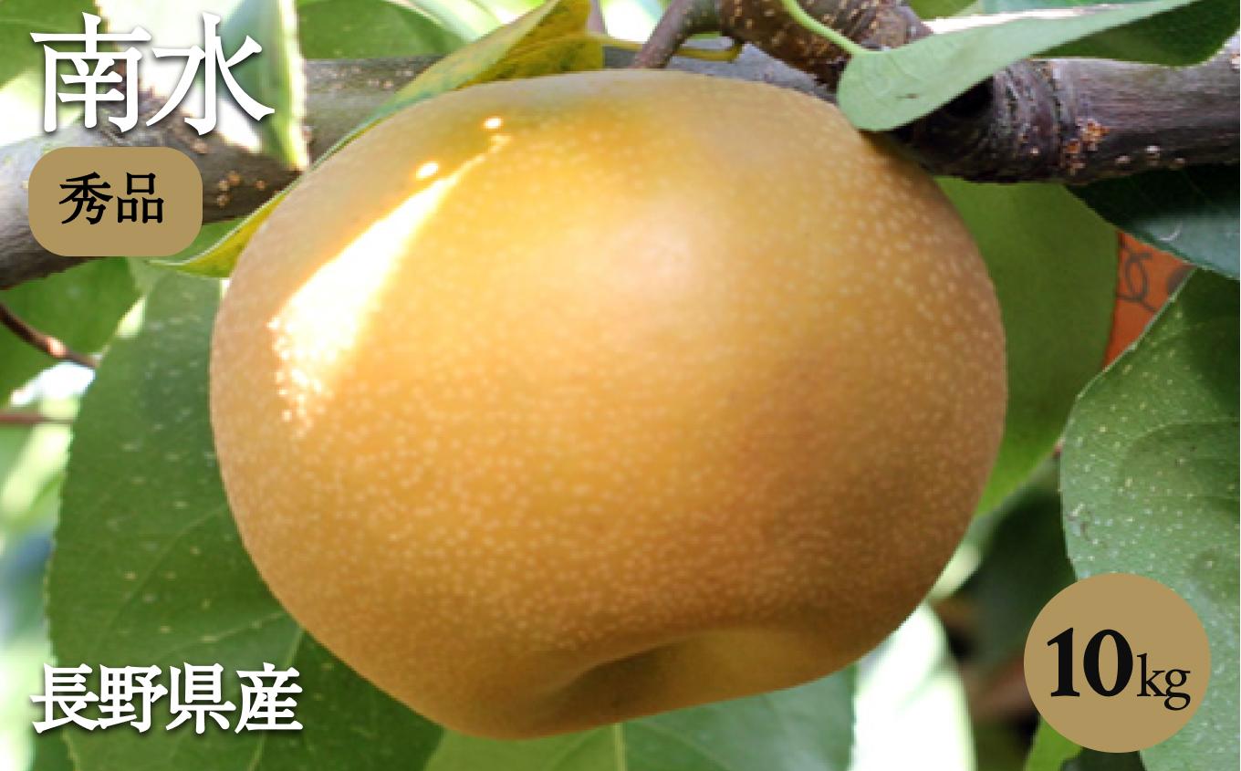 ジューシーで甘い!長野県産 なし ( 南水 ) 約10キロ 秀品〈2026年9月中旬～10月中旬発送〉| 果物 くだもの フルーツ 南水 梨 なし 南水 長野県 信州 南信州 飯田市