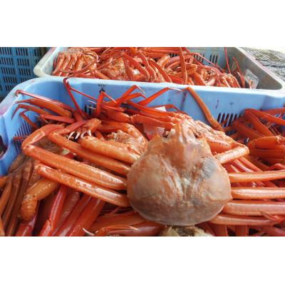 ふるさと納税 香美町 香住ガニ 釜茹で 冷凍 兵庫県香住産 約1.1〜1.3kg(2〜3匹)【2024年9月以降順次発送】 |  | 03