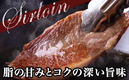 【お歳暮】黒毛和牛サーロインステーキ200g×2枚_16-3301-WG_(都城市) 牛肉 サーロインステーキ 200g×1枚×2パック 計400g ステーキ用カット