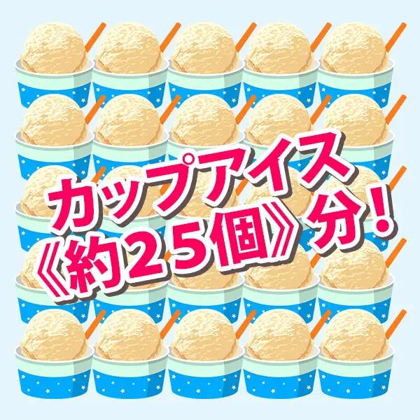 アイスクリーム ラムレーズン ジェラート 業務用 2リットル 2L アイス 大容量 手作り 北海道 弟子屈町 605
