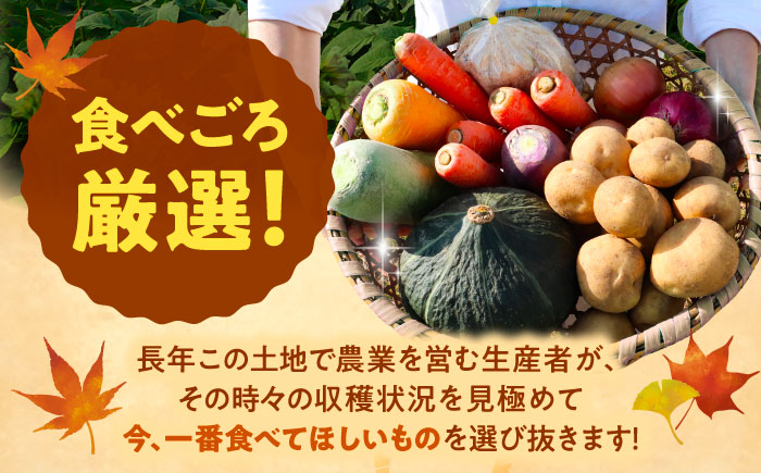 【2026年11月下旬以降発送】 秋の味覚セット（大）（じゃがいも10kg・旬の農産物詰め合わせ） | 野菜セット 野菜 じゃがいも 詰め合わせ 旬の野菜 セット 食べ比べ 北海道 | 道の駅 真狩フ