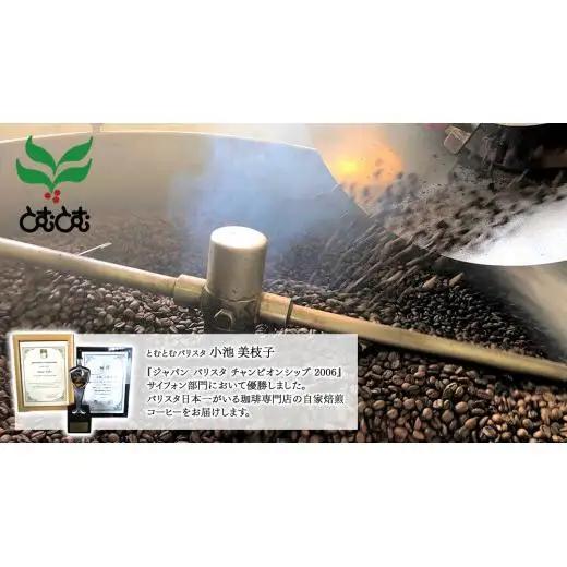 とむとむ 自家焙煎 レギュラーコーヒー 2缶 セット ( 各200g )
