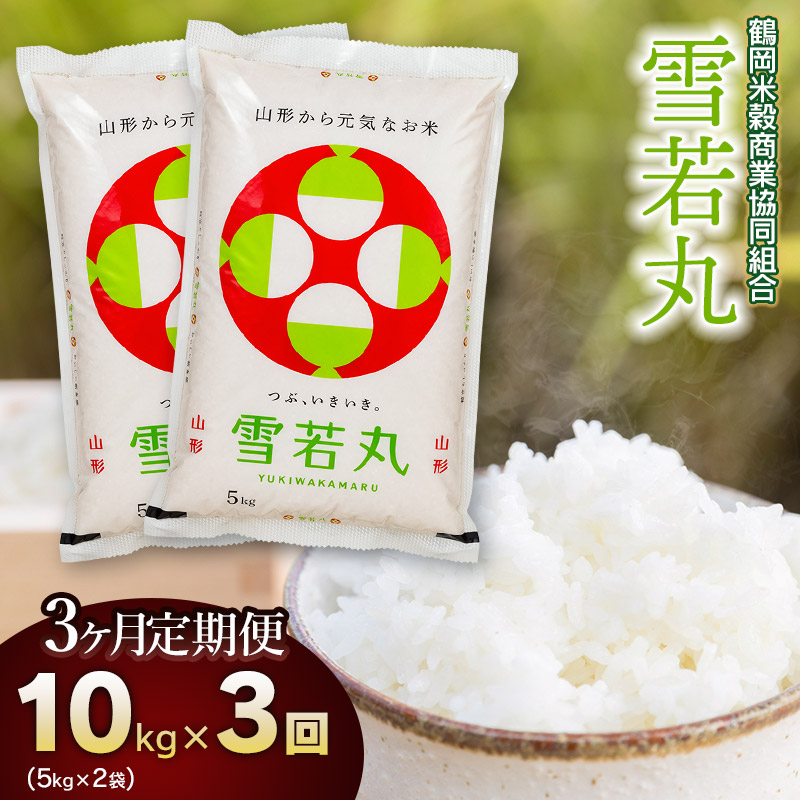【3回定期便】【令和6年産】 雪若丸10kg (5kg×2)×3回 山形県庄内産　鶴岡米穀商業協同組合