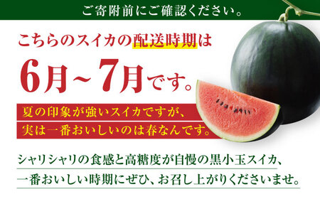 熊本スイカ 黒小玉スイカ2玉2Lサイズ西瓜すいかZCM009