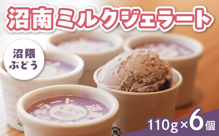 アイス 沼南ミルクジェラート 沼隈ぶどう６個 アイス アイスクリーム デザート スイーツ ご当地 広島県福山市/甚ごろう [BAEC005]